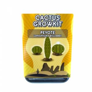 Buy San Pedro Cactus Brisbane
