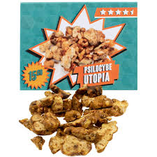 Utopia Magic Truffles Australia