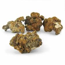 Hollandia Magic truffles Melbourne