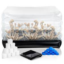 Amazonian Grow Kit Canberra