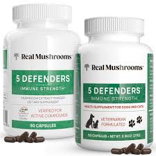 Real Mushroom 5 Defenders Wollongong
